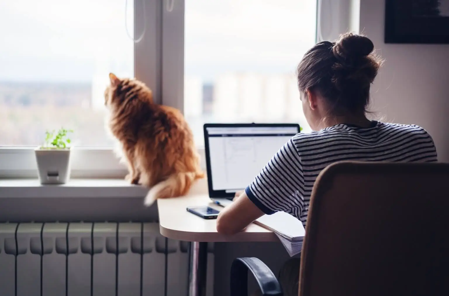 Kvinde sidder ved bærbar computer foran et vindue, hvor en kat sidder og kigger ud